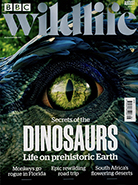 BBC Wildlife August 2024