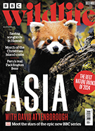 BBC Wildlife December 2024