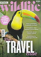 BBC Wildlife November 2024