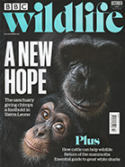 BBC Wildlife October 2024