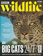 BBC Wildlife September 2024