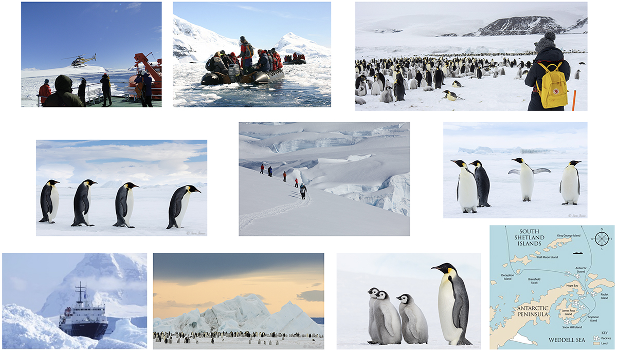 Antarctica: The Ultimate Snow Hill Expedition