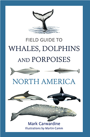 Mark's new field guide to cetaceans of North America is published 8 January 2026