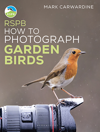 Pre-order Mark's wonderful new book on how to photograph garden birds – out in January!