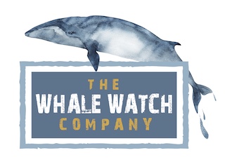 The Whale Watch Company