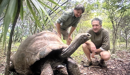 Mark meeting an Aldabra tortoise in Mauritius, with Carl Jones in Museum of Life